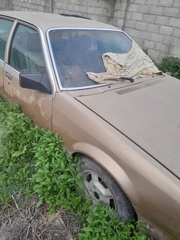 Opel: Opel