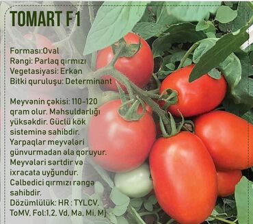 Toxumlar: Aluzze qarpiz toxumu — 3