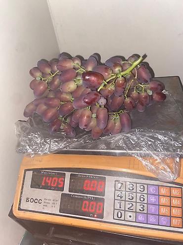 Виноград: Продаю Саженцы Винограда, есть разные сорта: Юлиан, Ризомат, кишмиш — 5