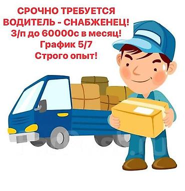 практика it для студентов: Требуется Водитель-экспедитор, Транспорт компании, 3-5 лет опыта, Премии, Полный рабочий день, Старше 18 лет — 1
