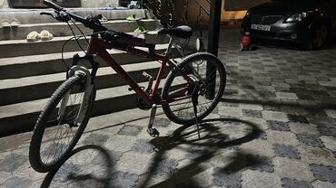 крепление для велосипедов: Горный велосипед, Trek, Алюминий, Б/у
