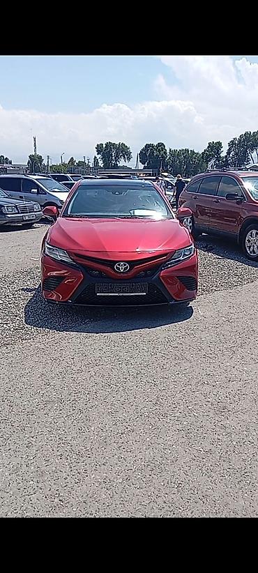 toyota corrolla: Toyota Camry: 2019 г., 2.5 л, Типтроник, Бензин, Седан — 1