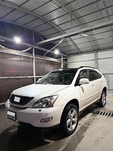 Lexus: Lexus RX: 2004 г., 3.3 л, Автомат, Бензин, Внедорожник — 1
