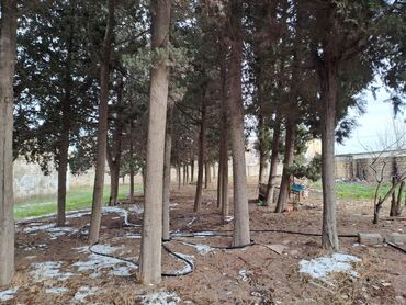 Kommersiya daşınmaz əmlakının satışı: 25 SOT TORPAQ SAHESI SATILIR!!! icinde 200 kvd liq tikili -da lalafo.az — 8 Kommersiya daşınmaz əmlakının satışı: 25 SOT TORPAQ SAHESI SATILIR!!! icinde 200 kvd liq tikili — 8