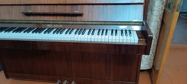 piano şəkilləri: Piano, Belarus, Akustik