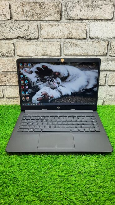 HP: Intel Celeron, 4 GB, 15.6 "