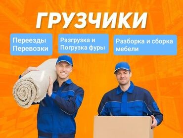 Портер, грузовые перевозки: Грузчик. С опытом