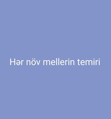 Mebellərin təmiri, bərpası
