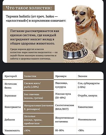 Животные: GRANDORF SPRAT Holistic — сухой корм для взрослых собак средних и — 2