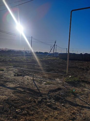 6 sot, Tikinti, Mülkiyyətçi, Kupça (Çıxarış) — 10