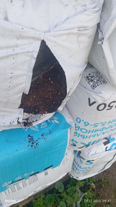 Torf: Bağçılıq və istixana üçün torf substratları və əkin kasseti — 6