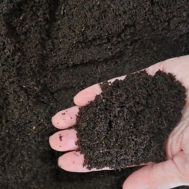 gence darvaza: Biohumus Qırmızı Kaliforniya soxulcanları tərəfindən əldə olunmuş üzvü