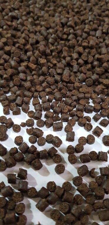 Товары и оборудование для с/х животных: ГРАНУЛЯТОРЫ, ДРОБИЛКИ, ЭКСТРУДЕРЫ ИЗГОТОВЛЕНИЕ ПОД ЗАКАЗ — 14