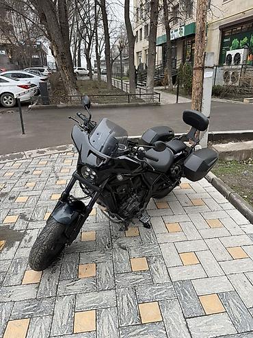 Мотоциклы: 🏍️ Продаётся Honda Rebel 1100 | 2023 год 🔥 Цвет: зелёный металлик * — 2