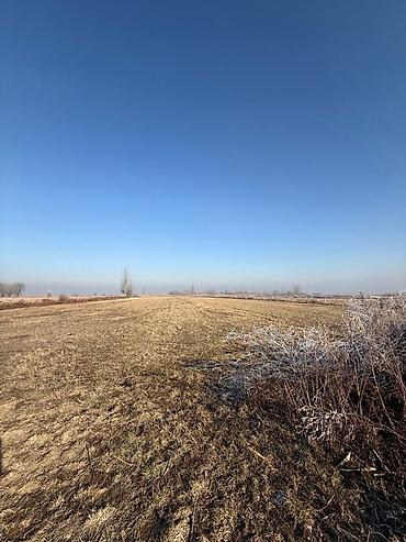 Продажа участков: 280 соток, Для сельского хозяйства — 3