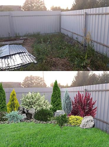 Семена газона: Семена гозона 🌱за 10 дней Из Европы 🇪🇺 производство Дания. Линейка — 2