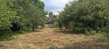 Torpaq sahələrinin satışı: 12 sot, Mülkiyyətçi, Kupça (Çıxarış) — 2