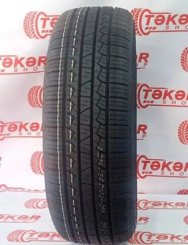 Disklər: Yeni Şin Annaite 225 / 60 / R 17