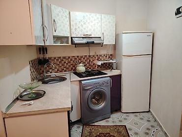 1 otaqli bina evi: 1 otaqlı kiçik mənzil – mətbəx, sanitar qovşaq və qonaq otağı ilə - — 4