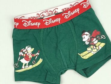Panties, Disney, 2-3 years, condition - Very good