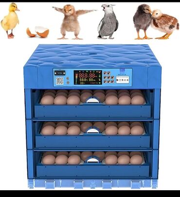 Digər heyvanlar: İnqibator sifarişi alınır Əllə çevirmə 80 yumurtalıqtoyuq, ördək