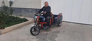 Мотороллеры муравей: Мотороллер муравей Электро, 50 км, До 299 кг, Б/у — 7