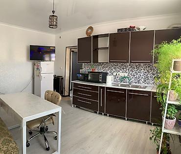 керме тоо: 90 м², 2 бөлмө, Жаныбарлары жок — 9