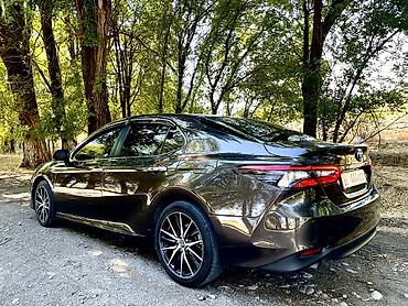 Toyota: Toyota Camry: 2022 г., 2.5 л, Вариатор, Гибрид, Седан — 4
