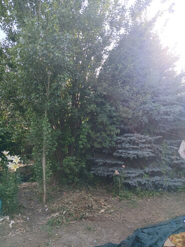 Продажа домов: Дом, 70 м², 4 комнаты, Собственник, Косметический ремонт — 10