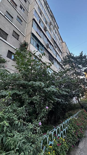 одно комнат: 3 комнаты, 80 м², Тунгуч мкр 106 серия, 8 этаж, Евроремонт — 2
