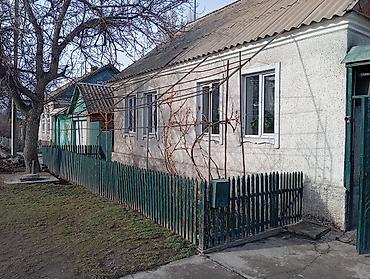 Деревянные штакетники: Деревянные штакетники, Покраска забора — 3