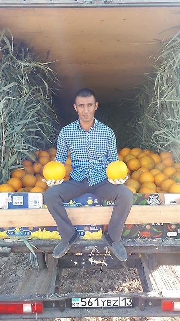 Удобрения и садовая химия: Удобрение Самовывоз — 10