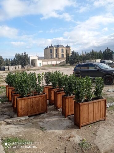 Bitkilər üçün dibçəklər: Bir başa sexdən.Sex qiymətinə. ♦️Endrim 2025 ▶️İstenilən modeldə -da lalafo.az — 5 Bitkilər üçün dibçəklər: Bir başa sexdən.Sex qiymətinə. ♦️Endrim 2025 ▶️İstenilən modeldə — 5