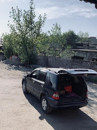w163: Mercedes-Benz ML-Class: 1999 г., 3.2 л, Автомат, Внедорожник — 2