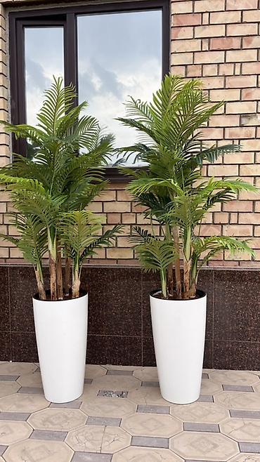 солнечные лампы: Instagram:Mayram.decor.kg Искусственные растения в кашпо для дома — 8