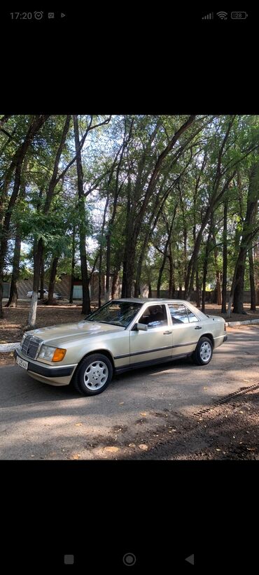мото чопер: Mercedes-Benz W124: 1988 г., 2.3 л, Механика, Газ, Седан