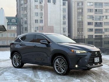 Lexus: Lexus NX: 2021 г., 2.4 л, Автомат, Бензин