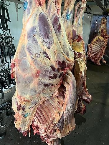 Айыл-чарба жаныбарлары: Жеке жак, Колбаса цехи : Уйлар, букалар, Жылкылар, аттар, | Бардык шартта, Союлган, Күнү-түнү — 4
