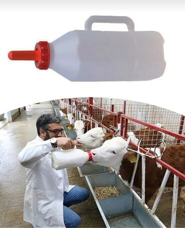 Qidalandırıcılar: Buzovlar üçün