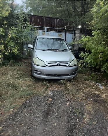 тайота ипсум матор: Toyota Ipsum: 2002 г., 2.4 л, Бензин, Седан — 1