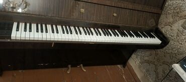 Гармошки: Akkustik piano – dik (upright) korpuslu model. Xüsusiyyətlər: - Tam