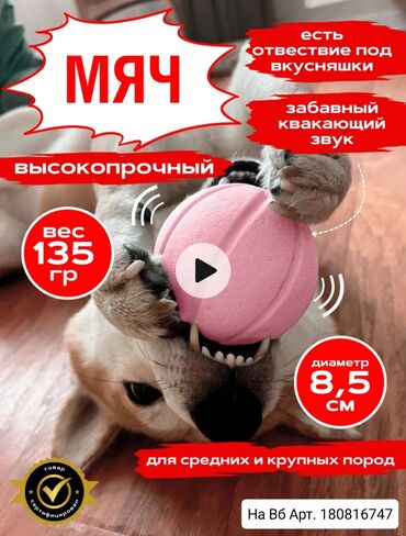 Зоотовары: 💥РАСПРОДАЖА💥 игрушек для собак на ВБ. Большой выбор прочных и