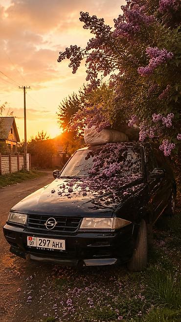 Ssangyong: Ssangyong Korando Family: 1998 г., 2.9 л, Кол менен иштөөчү, Дизель, Жол тандабас — 8