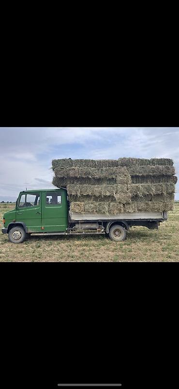 хова каракол: Грузовик, Mercedes-Benz, Дубль, 7 т, Б/у — 2
