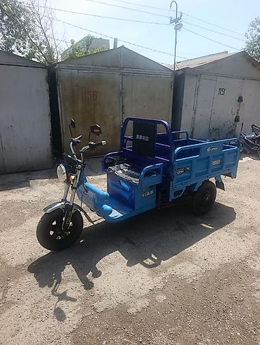 mini ev: Электрический грузовой трицикл (самоходная тележка) - Цвет: синий - — 1