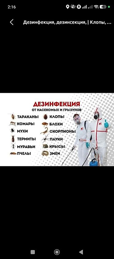 Клининговые услуги: Дезинфекция, дезинсекция, | Клопы, | Квартиры — 1
