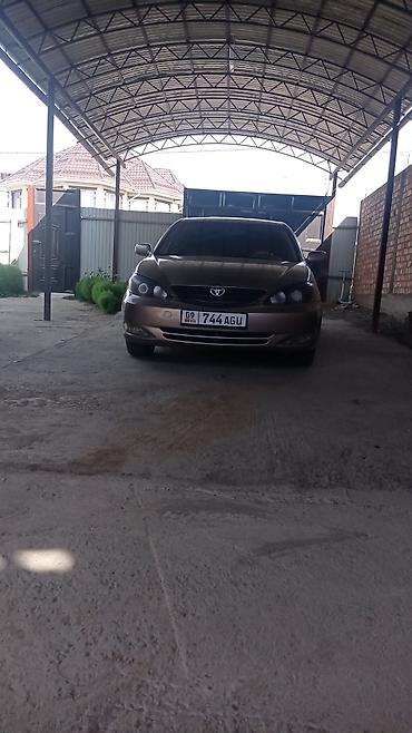 Toyota: Toyota Camry: 2003 г., 2.4 л, Автомат, Бензин, Седан — 6