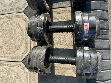 Гантели: Представляем наборные гантели — универсальный инструмент для домашних — 2