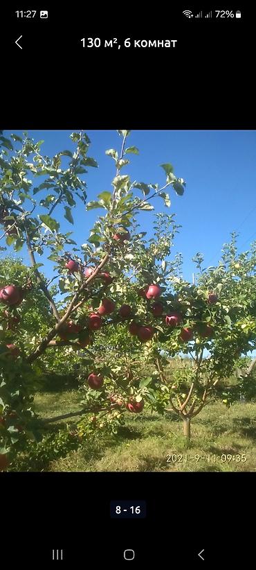 Продажа коттеджей и домов: Дом 130 м², 6 комнат, с большим плодоносящим садом. - Планировка — 8