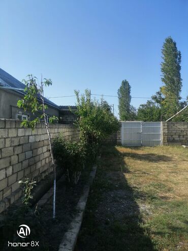 Bağ evlərinin satışı: Bakı, 100 kv. m, 3 otaqlı, Qaz, İşıq, Su -da lalafo.az — 8 Bağ evlərinin satışı: Bakı, 100 kv. m, 3 otaqlı, Qaz, İşıq, Su — 8